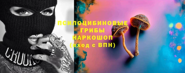 амф Арсеньев