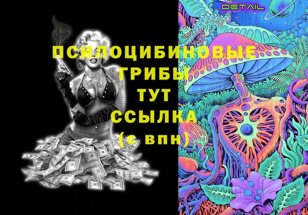 амф Арсеньев
