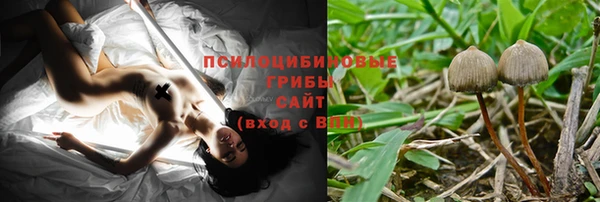 амф Арсеньев